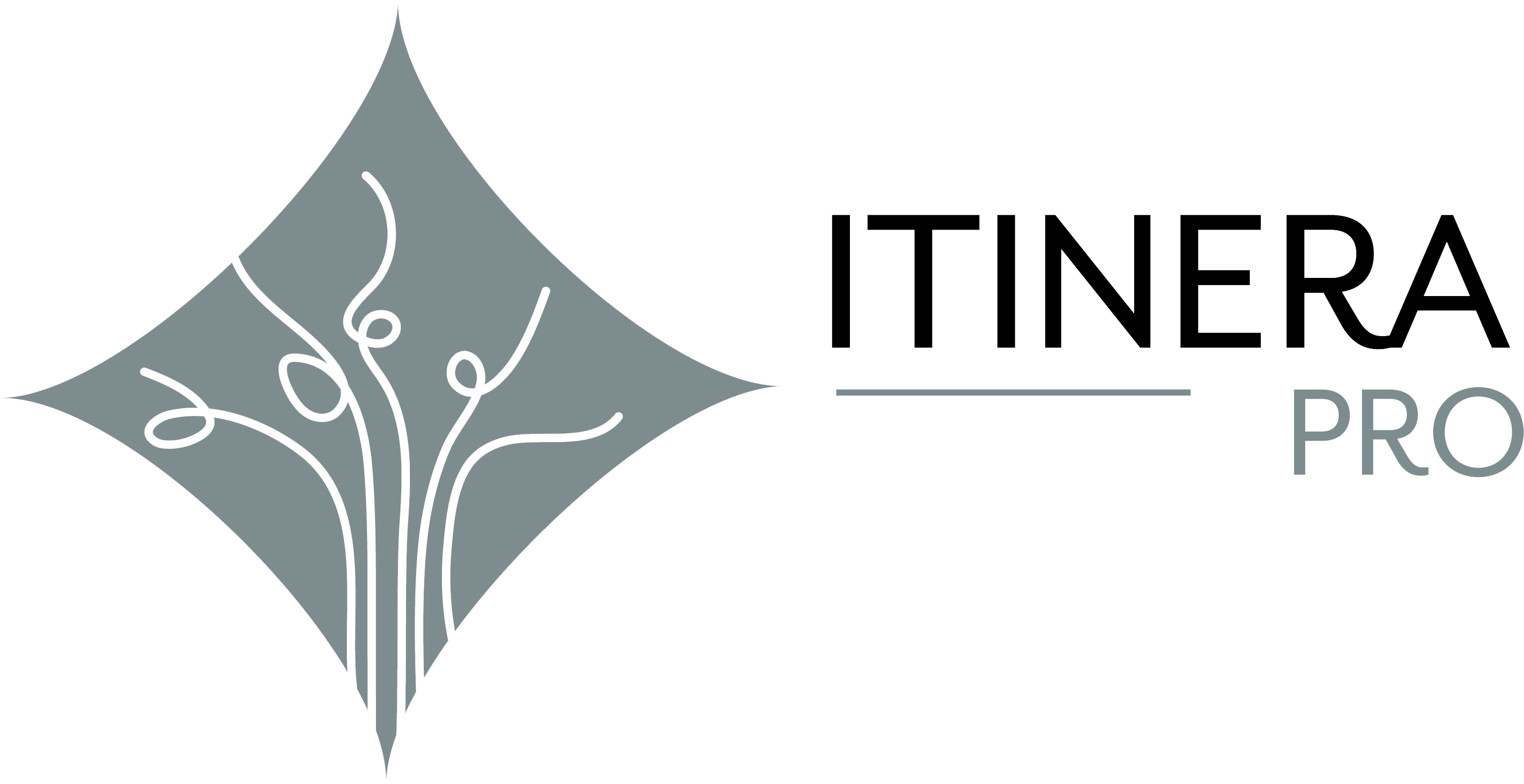 Itinera Pro